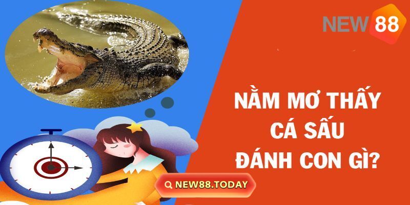 Luận số lô đề nằm mơ thấy cá sấu